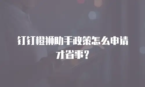 钉钉橙狮助手政策怎么申请才省事？