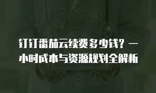 钉钉番茄云续费多少钱？一小时成本与资源规划全解析