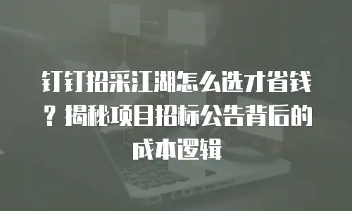 钉钉招采江湖怎么选才省钱？揭秘项目招标公告背后的成本逻辑
