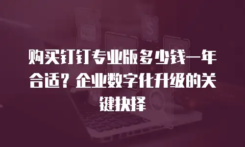 购买钉钉专业版多少钱一年合适？企业数字化升级的关键抉择