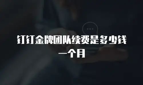 钉钉金牌团队续费是多少钱一个月