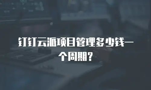 钉钉云派项目管理多少钱一个周期？