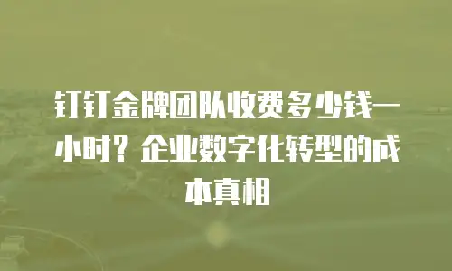 钉钉金牌团队收费多少钱一小时？企业数字化转型的成本真相