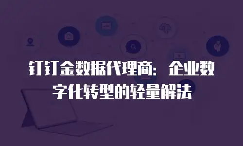 钉钉金数据代理商：企业数字化转型的轻量解法