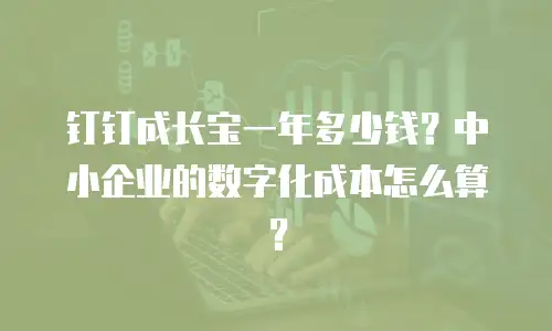 钉钉成长宝一年多少钱？中小企业的数字化成本怎么算？
