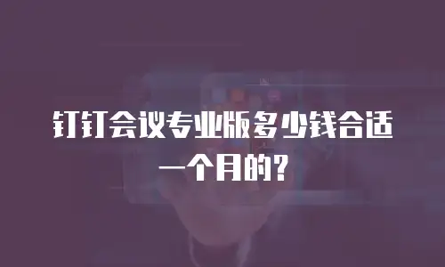 钉钉会议专业版多少钱合适一个月的？