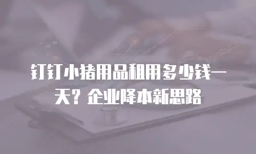 钉钉小猪用品租用多少钱一天？企业降本新思路