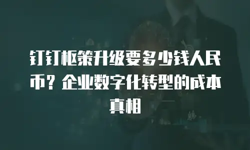 钉钉枢策升级要多少钱人民币？企业数字化转型的成本真相