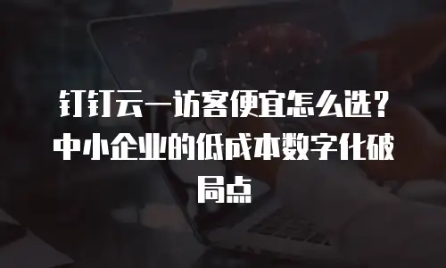 钉钉云一访客便宜怎么选？中小企业的低成本数字化破局点
