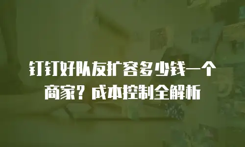钉钉好队友扩容多少钱一个商家？成本控制全解析