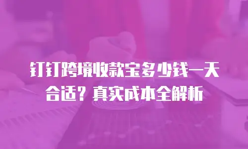 钉钉跨境收款宝多少钱一天合适？真实成本全解析