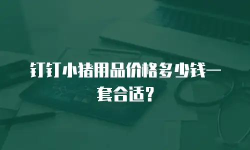 钉钉小猪用品价格多少钱一套合适？