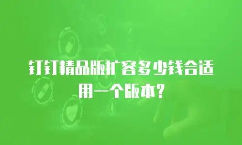 钉钉精品版扩容多少钱合适用一个版本？