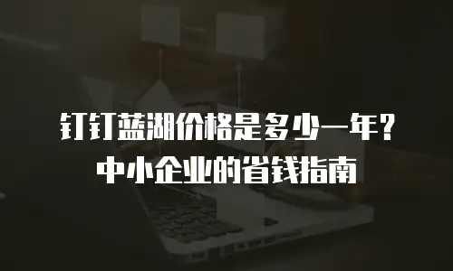 钉钉蓝湖价格是多少一年？中小企业的省钱指南