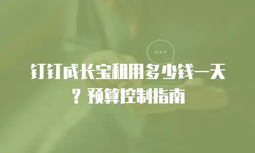 钉钉成长宝租用多少钱一天？预算控制指南