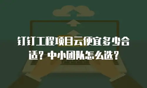 钉钉工程项目云便宜多少合适？中小团队怎么选？