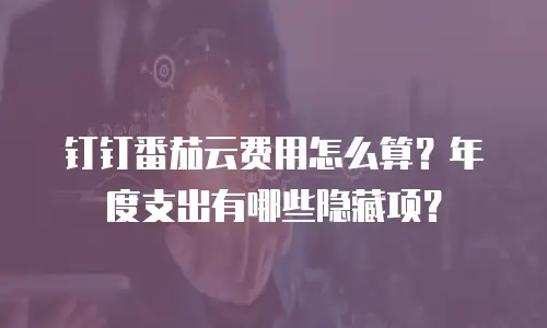钉钉番茄云费用怎么算？年度支出有哪些隐藏项？