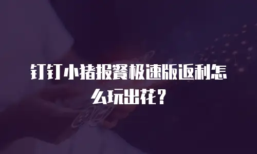 钉钉小猪报餐极速版返利怎么玩出花？