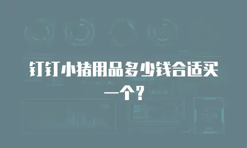 钉钉小猪用品多少钱合适买一个？