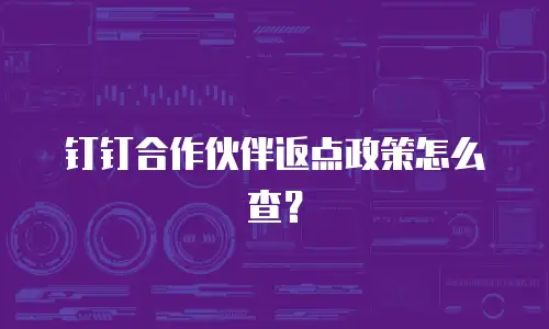 钉钉合作伙伴返点政策怎么查？