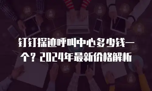 钉钉探迹呼叫中心多少钱一个？2024年最新价格解析