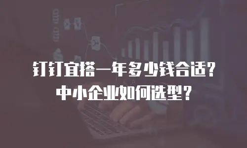 钉钉宜搭一年多少钱合适？中小企业如何选型？
