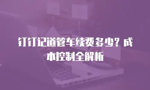 钉钉记道管车续费多少？成本控制全解析