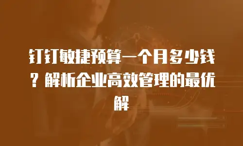 钉钉敏捷预算一个月多少钱？解析企业高效管理的最优解