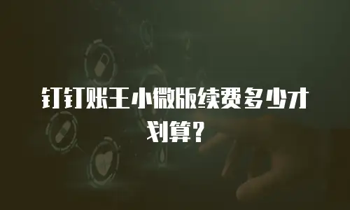 钉钉账王小微版续费多少才划算？
