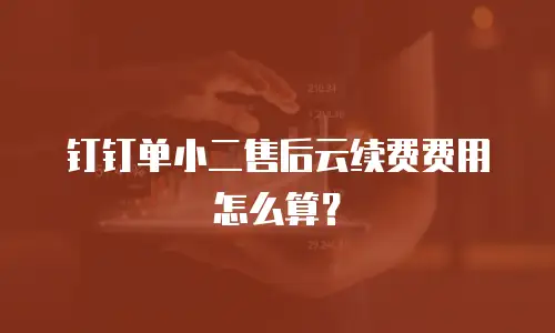 钉钉单小二售后云续费费用怎么算？