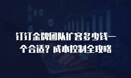 钉钉金牌团队扩容多少钱一个合适？成本控制全攻略