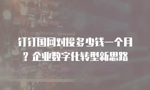 钉钉国网对接多少钱一个月？企业数字化转型新思路
