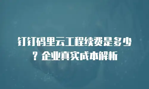 钉钉码里云工程续费是多少？企业真实成本解析