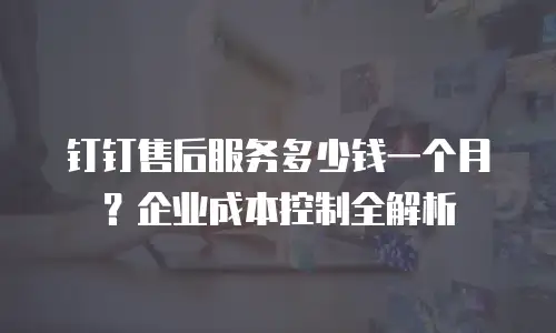 钉钉售后服务多少钱一个月？企业成本控制全解析