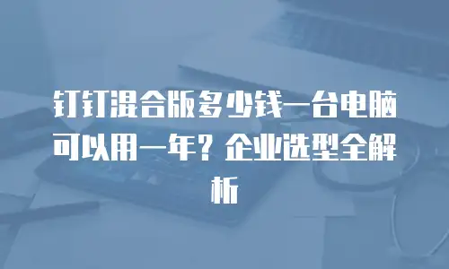 钉钉混合版多少钱一台电脑可以用一年？企业选型全解析