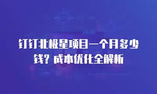 钉钉北极星项目一个月多少钱？成本优化全解析