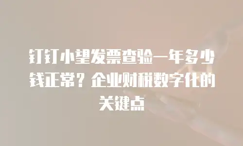 钉钉小望发票查验一年多少钱正常？企业财税数字化的关键点