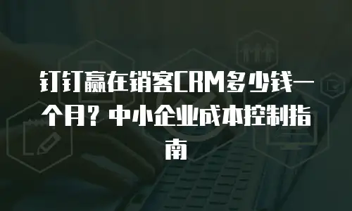 钉钉赢在销客CRM多少钱一个月？中小企业成本控制指南