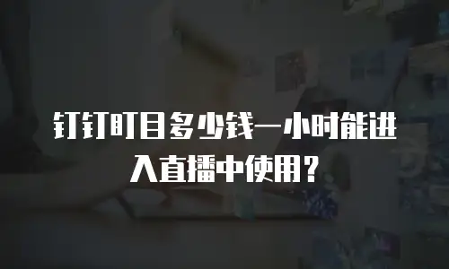 钉钉盯目多少钱一小时能进入直播中使用？