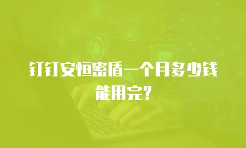 钉钉安恒密盾一个月多少钱能用完？