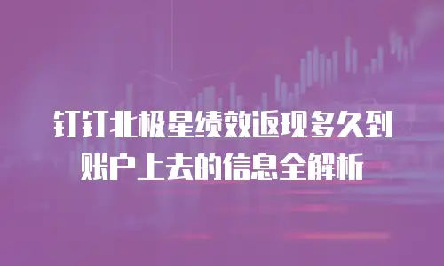 钉钉北极星绩效返现多久到账户上去的信息全解析