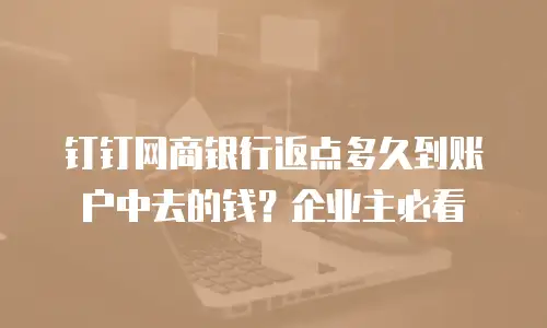 钉钉网商银行返点多久到账户中去的钱？企业主必看