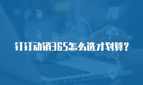 钉钉动销365怎么选才划算？
