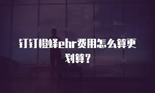 钉钉橙蜂ehr费用怎么算更划算？