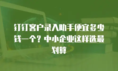 钉钉客户录入助手便宜多少钱一个？中小企业这样选最划算
