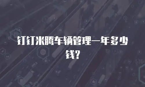 钉钉米腾车辆管理一年多少钱？