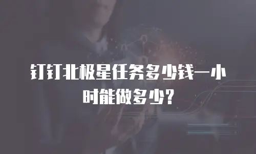 钉钉北极星任务多少钱一小时能做多少？