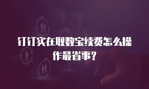 钉钉实在取数宝续费怎么操作最省事？