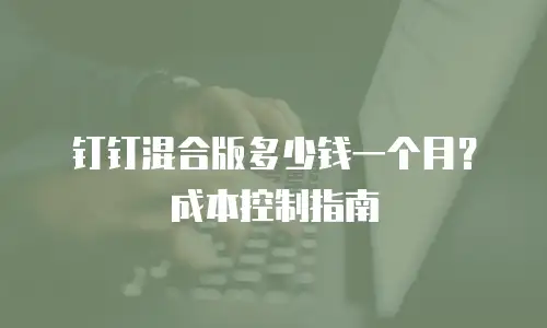 钉钉混合版多少钱一个月？成本控制指南