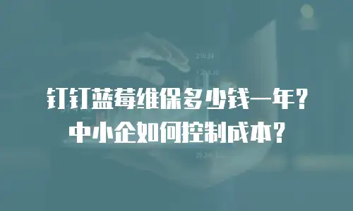 钉钉蓝莓维保多少钱一年？中小企如何控制成本？
